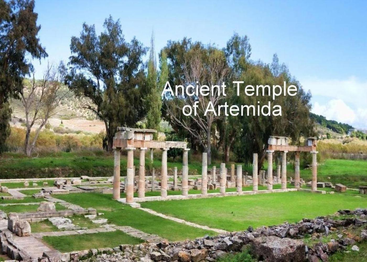 Athens 24-Hours Hostel #Athensairport #Latecheck-In #Privatetransportservice #Groups #Downtown Markopoulo Mesogaias Екстер'єр фото